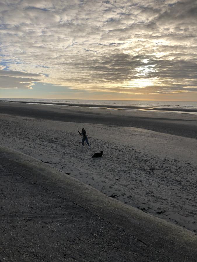Westhoek Apartments De Panne Kültér fotó
